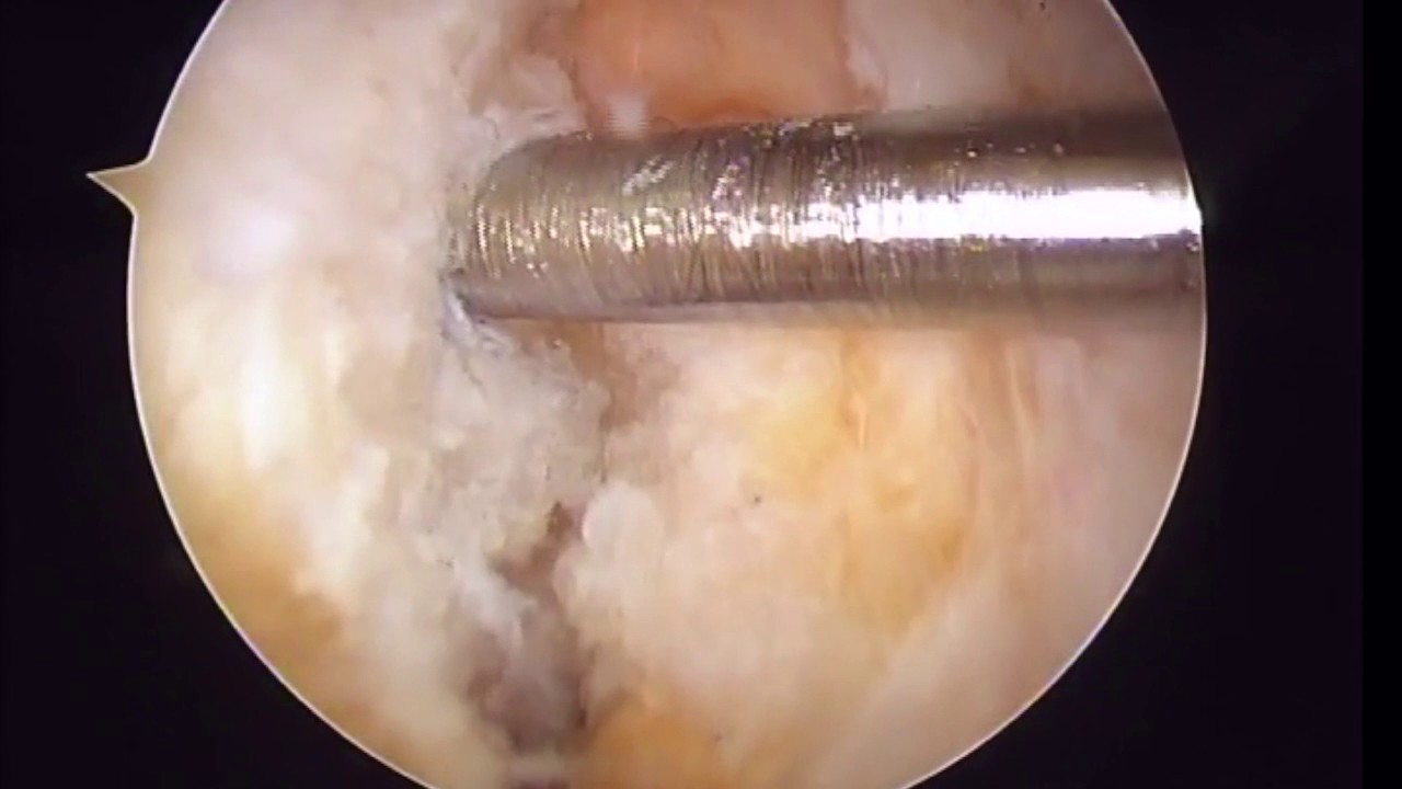 Ruperto Alfonso Muñoz Galguera-12