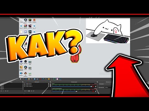 Как настроить Bongo Кота на стрим