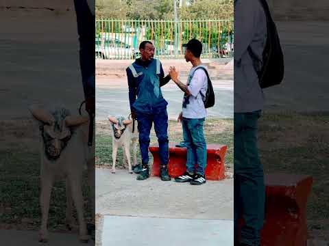 El cambio #viral💀 Goat Mask Prank That Shocked Everyone!😂 Savage Goat Prank | Epic Public Reactions!