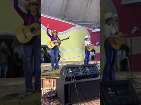 Amargurado | Pâmella Viola e Karoline