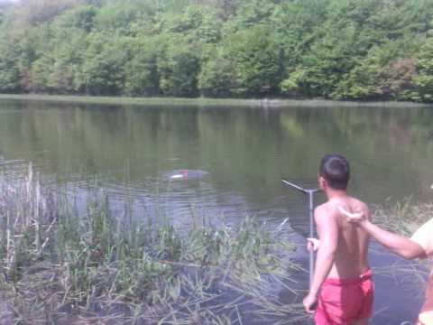 alex in dril la sauaieu 2009