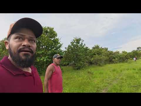 Pescaria com meu mano e meus sobrinhos em uma lagoa do rio Tocantins.