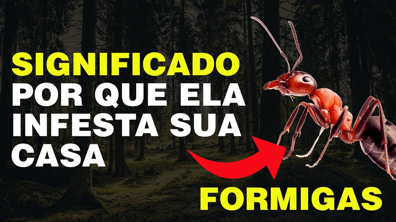 Eu Descobri o Significado Espiritual das Formigas e Fiquei Surpreso