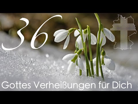 Gottes Verheißungen für Dich - Johannes 10,28 | Videokalender 36/365 - Deutschland braucht JESUS