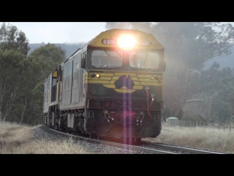 UP 7902V Fruit Flyer G530, XR558 & BL31 Maryborough, Avoca, Ararat Line