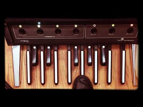Genesis Taurus Bass Pedal Sessions 15. Deep In Motherlode
