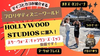 ディズニーワールドで1番人気のエリア、ハリウッドスタジオのスターウォーズ 『GALAXY’S EDGE』を徹底解剖! 後編 ショッピング・エンターテイメント編