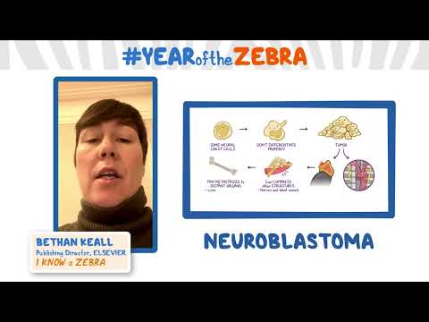 Achalasia Year of the Zebra