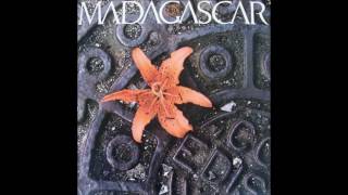 MADAGASCAR - Here Today, Gone Tomorrow
