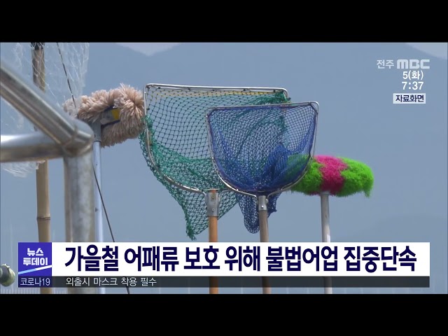 가을철 어패류 보호 위해 불법어업 집중단속