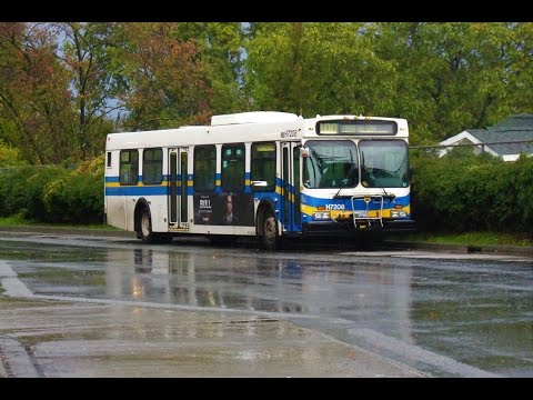 TransLink 1996 New Flyer D40LF - H7208