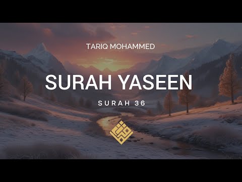 Surah Yaseen | The Heart of the Quran | Beautiful Recitation with English Translation