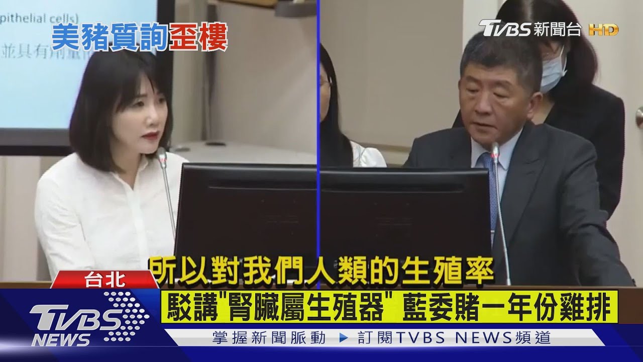 駁講「腎臟屬生殖器」 藍委賭一年份雞排