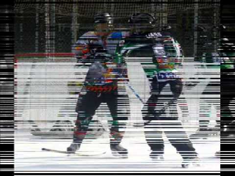 Leo Aberer feat.  Ropi  "Hockey is my life"