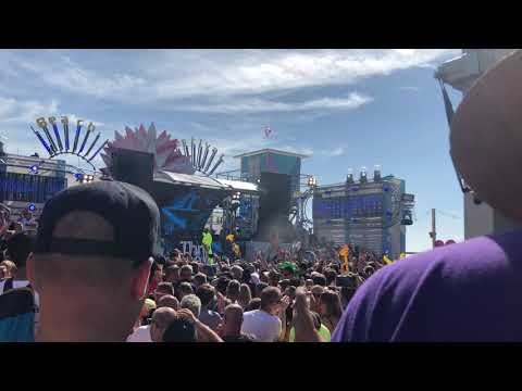 Thrillseekers - Amber @ Luminosity 2019 Thrillseekers