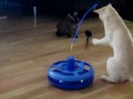 Видео о товаре Интерактивная игрушка для кошек Kitty-Go-Krazy / Panic mouse (США)