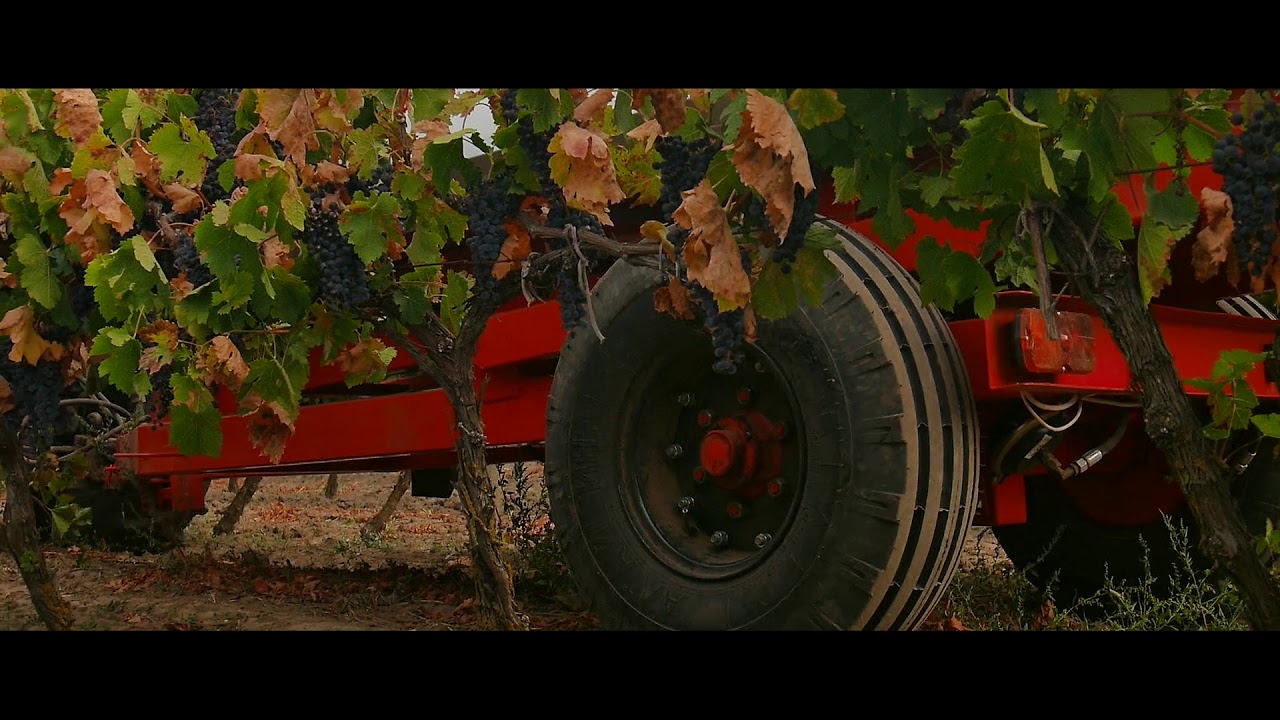 Semiremorca pentru transportarea strugurilor  PPV-3 (3t) - Image 4