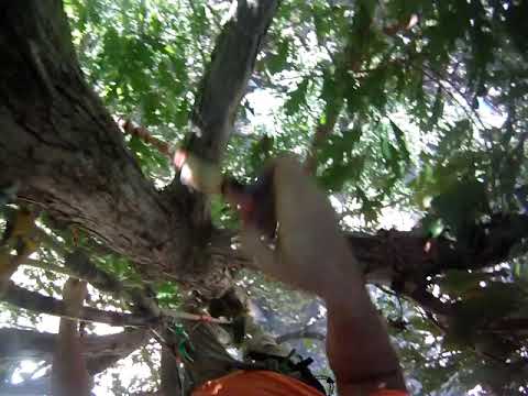 SRT to Ddrt Changeover