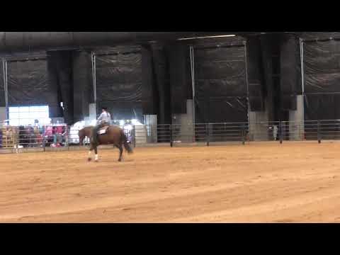 Shelby and GunnaFoolYa in Youth Reining at AZ Sun Circuit 2019