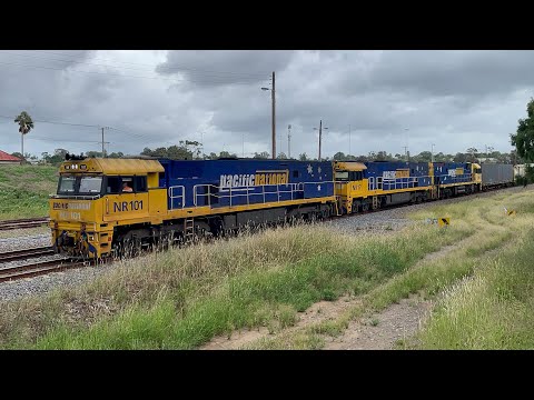 Pacific National NR101, NR17 & NR63 with 2BS4 at Telarah - 4/3/25