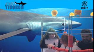 DIA 3 Expo Tiburon78