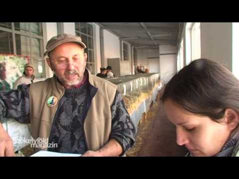 Székelyföld magazin 2014.02.05.