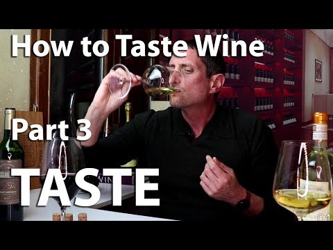 How to Taste Wine? A Flavor Experience