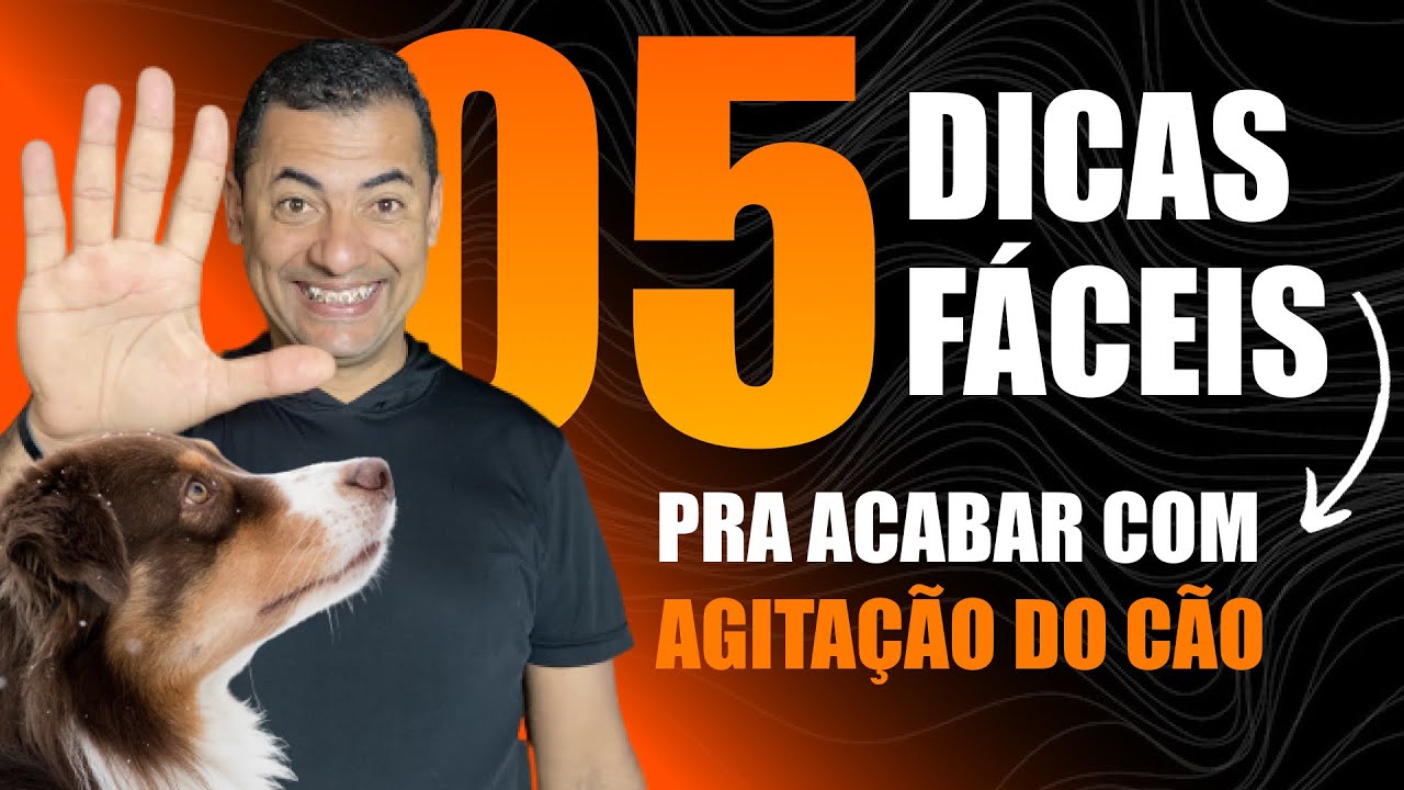 5 DICAS FÁCEIS PRA ACABAR COM A AGITAÇÃO DO CÃO