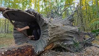 Man Turns FALLEN TREE into a HIDDEN SHELTER | Start to Finish by @PolissyaBushcraft