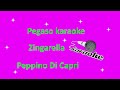 karaoke Zingarella Peppino Di Capri