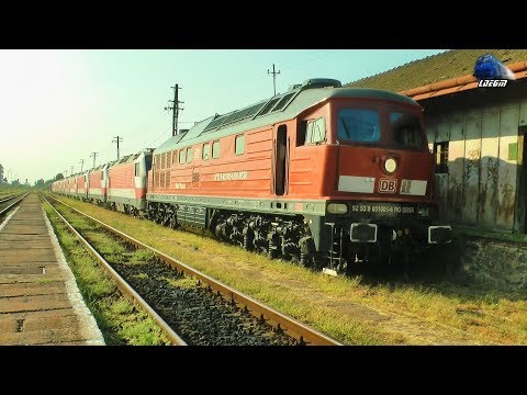 BR232 Ludmilla 65-1005-6 & 10 Locomotive "Sissy" ÖBB 1014 E-Loks in Episcopia Bihor - 30 August 2018