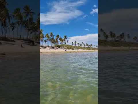 PRAIA DO FRANCÊS MARECHAL DEODORO ALAGOAS
