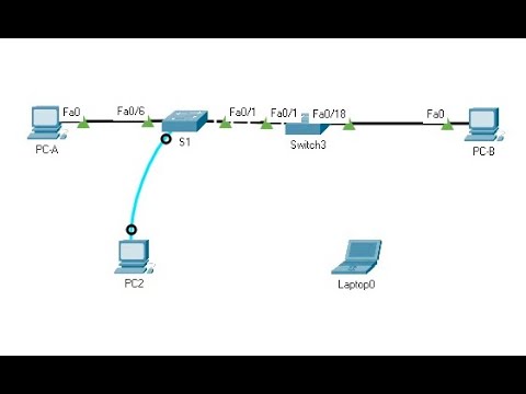Lab 3 - 3.6.2 Lab - Implement VLANs and Trunking