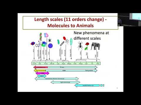 Colloquium May 4, 2023 - Collective Movement in Cells - From Jamming to Superdiffusion