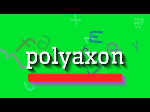 How to say "polyaxon"! (High Quality Voices)