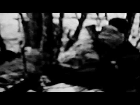 Los Mostachos- Rehearsal Dinner