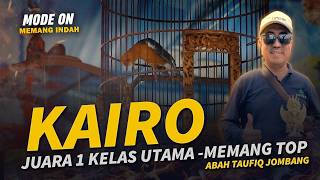 Download lagu Memang TOP🔥Juara 1 Kelas Utama, Anis Merah KAIRO Jadi Lawan Berat!! mp3