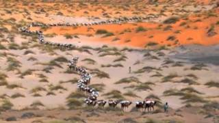 MALIK ADOUANE - FEAT. L MALASSAGNE- TITRE ARABIAN CASTRA  - CREATIVE SOURCE  -BELEIVE