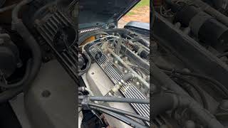 1985 Jaguar XJ6 - Idling