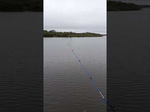 tarde de pesca puente Santa Lucia Goya Corrientes