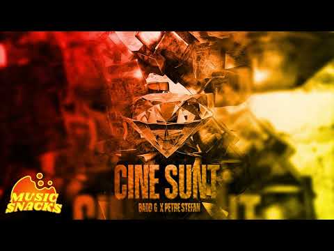 Badd G x Petre Stefan - Cine sunt (TIKTOK VERSION)