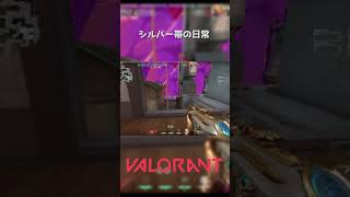 シルバー帯の日常 #shorts