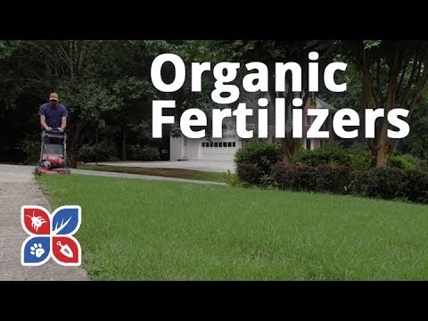  Do My Own Lawn Care - Organic Fertilizers Video 