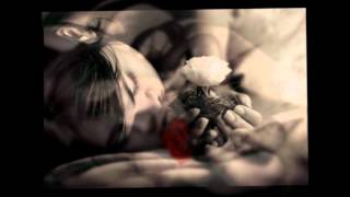 Rosa rosae - LezVersions