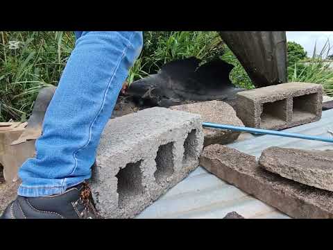 BLACK MAMBA CAPTURE - As dangerous as it gets!!