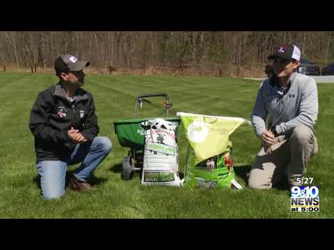 What's Growing With Tom: Lawn Care