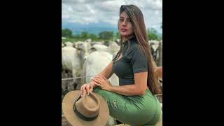 Los Tigres del Norte - De Rama en Rama