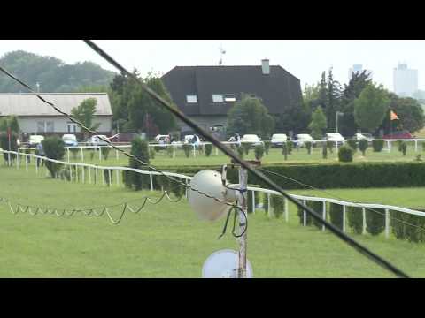 BR, 15. 6. 2019, Poníci 2