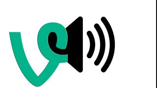 Cover art for vine boom