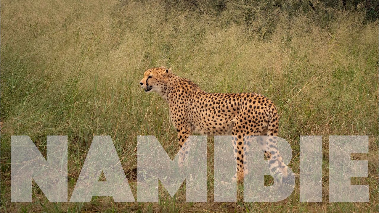 UFOUNI - Díl / Episode 20 - Zpět do Windhoeku / Back to Windhoek